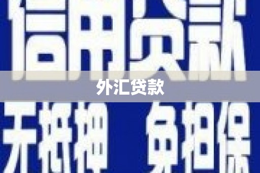 东方外汇贷款