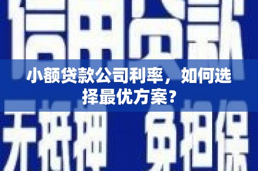 东方小额贷款公司利率，如何选择最优方案？