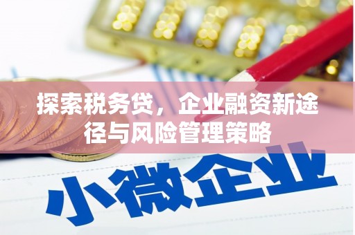 东方探索税务贷，企业融资新途径与风险管理策略