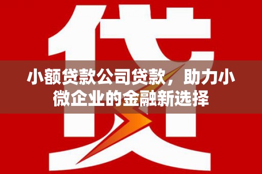 东方小额贷款公司贷款，助力小微企业的金融新选择