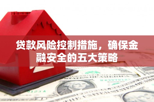 东方贷款风险控制措施，确保金融安全的五大策略
