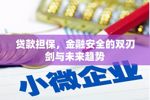 东方贷款担保，金融安全的双刃剑与未来趋势
