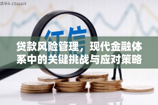 东方贷款风险管理，现代金融体系中的关键挑战与应对策略