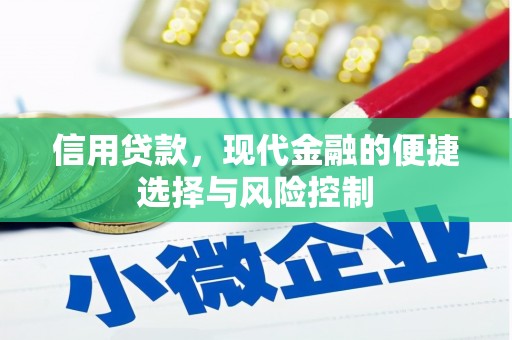东方信用贷款，现代金融的便捷选择与风险控制