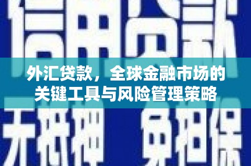 东方外汇贷款，全球金融市场的关键工具与风险管理策略