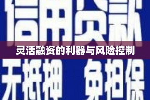 东方灵活融资的利器与风险控制