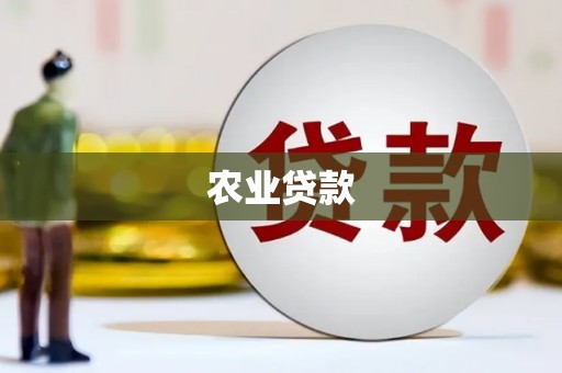 东方农业贷款