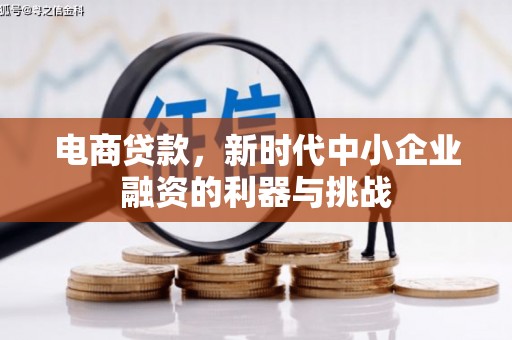 东方电商贷款，新时代中小企业融资的利器与挑战