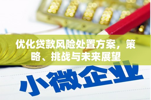 东方优化贷款风险处置方案，策略、挑战与未来展望