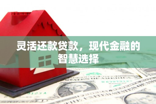 东方灵活还款贷款，现代金融的智慧选择