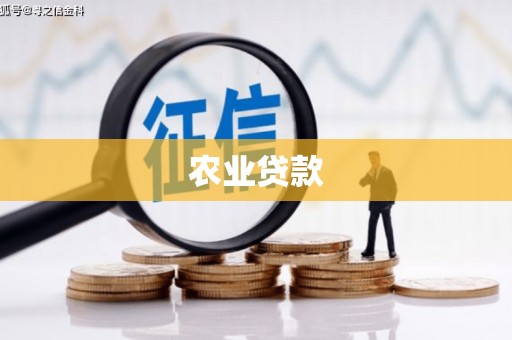 东方农业贷款