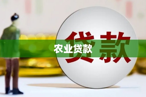 东方农业贷款
