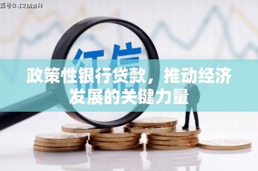 东方政策性银行贷款，推动经济发展的关键力量
