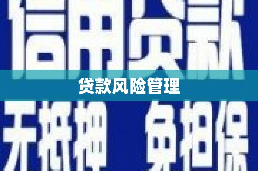 东方贷款风险管理