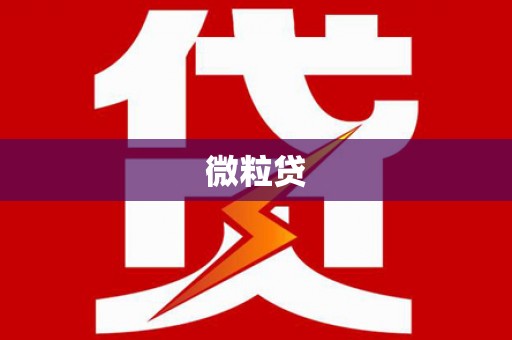 东方微粒贷