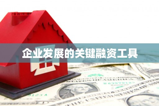 东方企业发展的关键融资工具