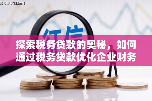 东方探索税务贷款的奥秘，如何通过税务贷款优化企业财务