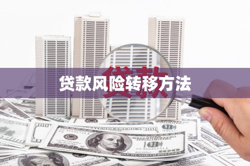 东方贷款风险转移方法