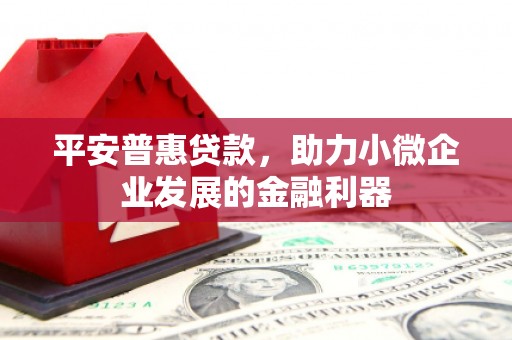 东方平安普惠贷款，助力小微企业发展的金融利器