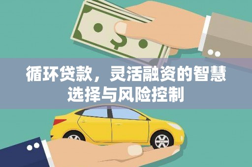 东方循环贷款，灵活融资的智慧选择与风险控制