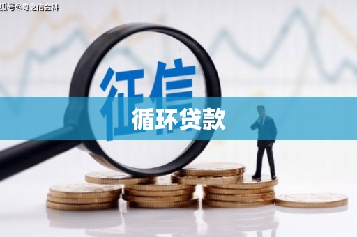 东方循环贷款