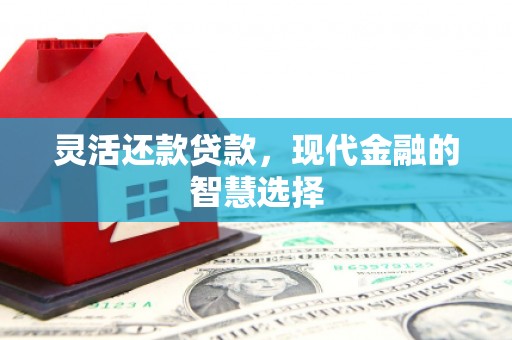 东方灵活还款贷款，现代金融的智慧选择
