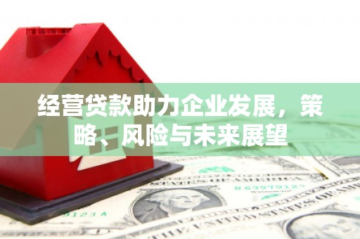 东方经营贷款助力企业发展，策略、风险与未来展望
