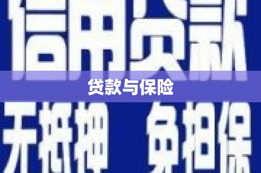 东方贷款与保险