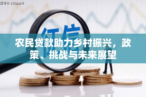 东方农民贷款助力乡村振兴，政策、挑战与未来展望