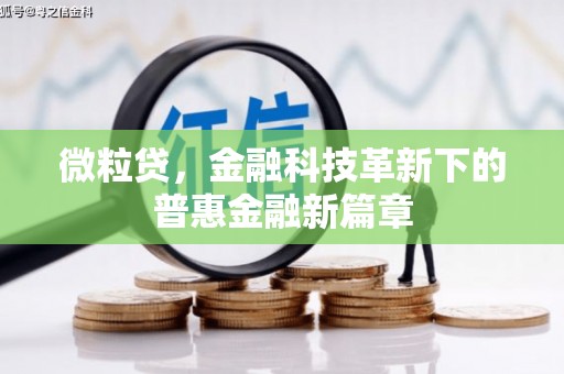 东方微粒贷，金融科技革新下的普惠金融新篇章