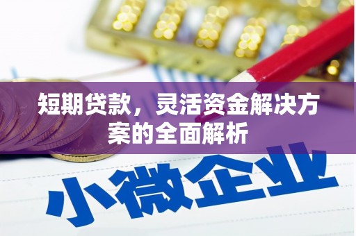 东方短期贷款，灵活资金解决方案的全面解析