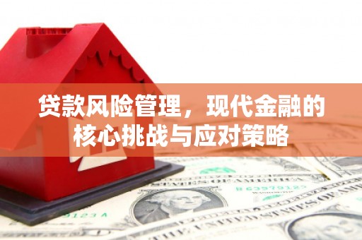东方贷款风险管理，现代金融的核心挑战与应对策略