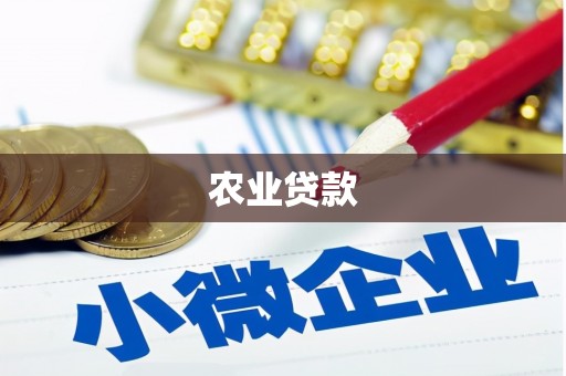 东方农业贷款
