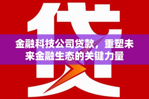 东方金融科技公司贷款，重塑未来金融生态的关键力量