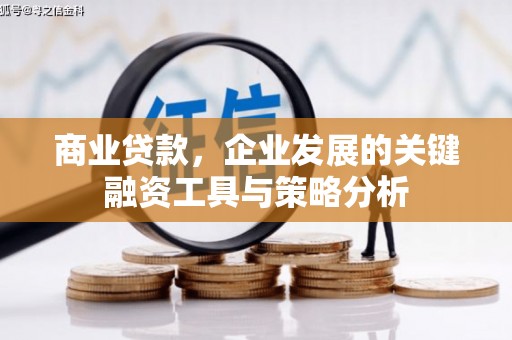 东方商业贷款，企业发展的关键融资工具与策略分析