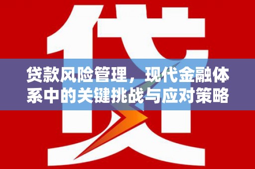 东方贷款风险管理，现代金融体系中的关键挑战与应对策略
