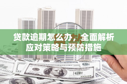 东方贷款逾期怎么办，全面解析应对策略与预防措施
