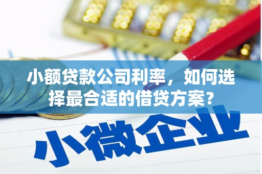 东方小额贷款公司利率，如何选择最合适的借贷方案？