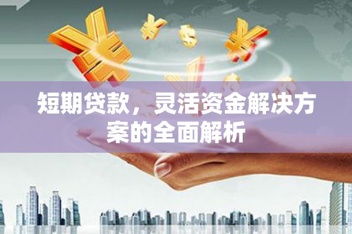 东方短期贷款，灵活资金解决方案的全面解析