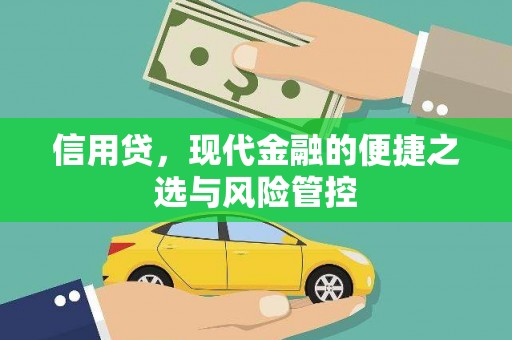 东方信用贷，现代金融的便捷之选与风险管控