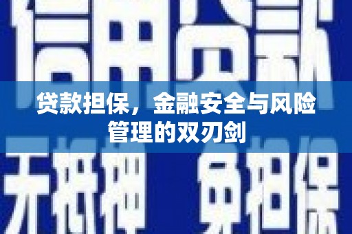 东方贷款担保，金融安全与风险管理的双刃剑