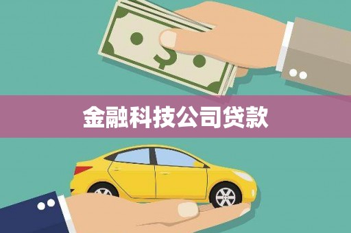 东方金融科技公司贷款
