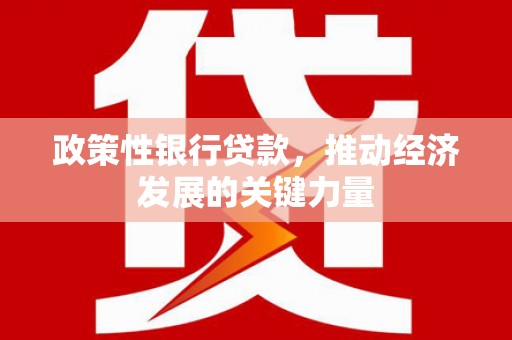 东方政策性银行贷款，推动经济发展的关键力量