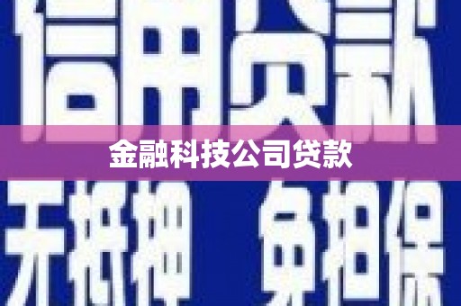 东方金融科技公司贷款