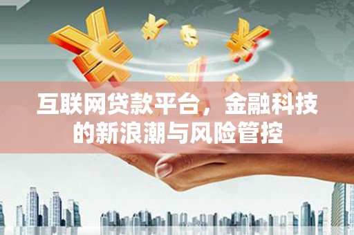 东方互联网贷款平台，金融科技的新浪潮与风险管控