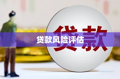 东方贷款风险评估