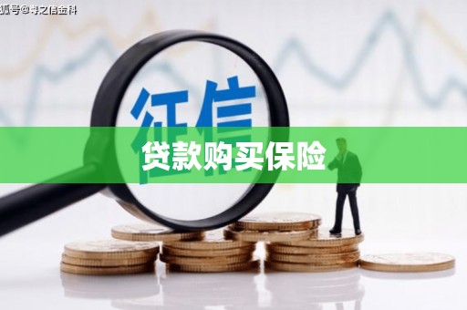 东方贷款购买保险