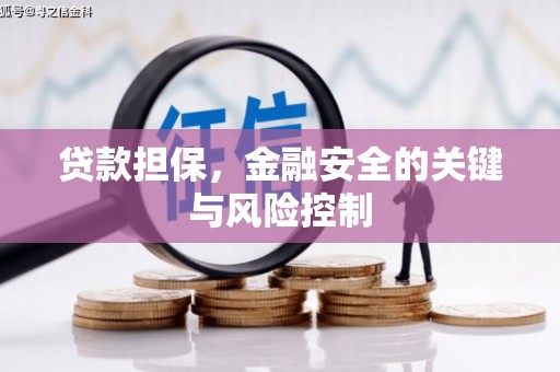东方贷款担保，金融安全的关键与风险控制