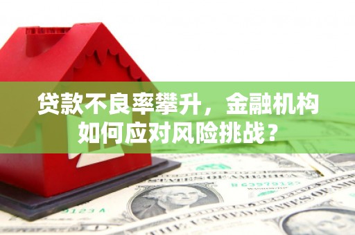 东方贷款不良率攀升，金融机构如何应对风险挑战？