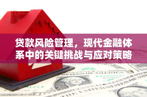 东方贷款风险管理，现代金融体系中的关键挑战与应对策略